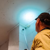 Pest Control Bankstown | Bug Free Pest Control